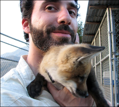 sure, baby fox. i think i can take it from here.